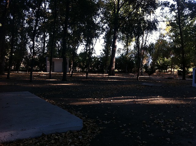 IMG_2765 IMG_2765