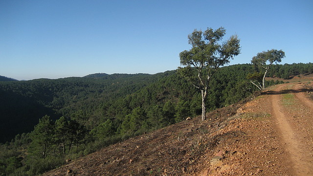 PALANCO. ELCHORTAL.    ENE.2011 (5)