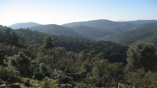 PALANCO. ELCHORTAL.    ENE.2011 (6)