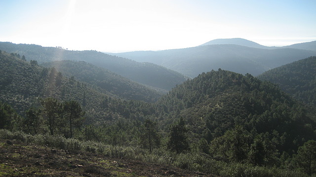 PALANCO. ELCHORTAL.    ENE.2011 (4)