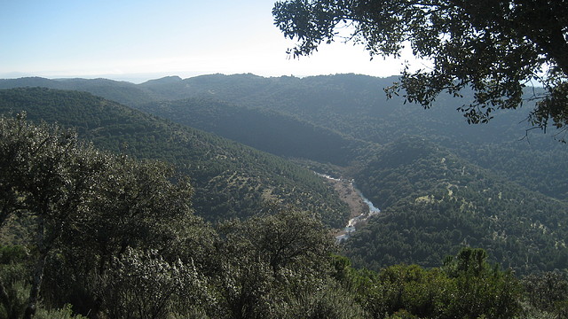 PALANCO. ELCHORTAL.    ENE.2011 (7)