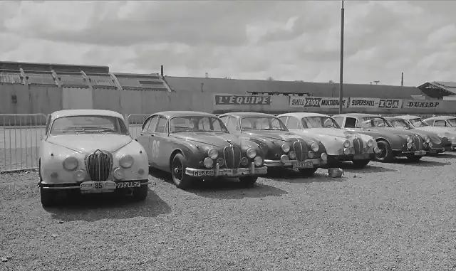 Jag's - TdF'61