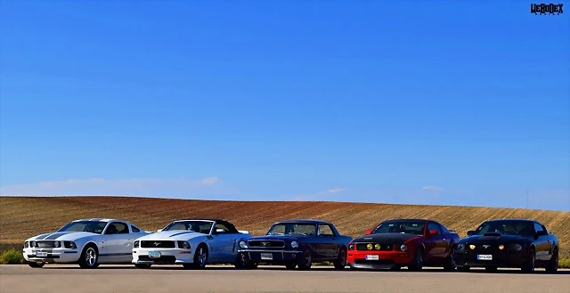 DSC_0681 DSC_0681