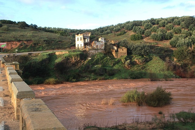 014, puente de olvera 1