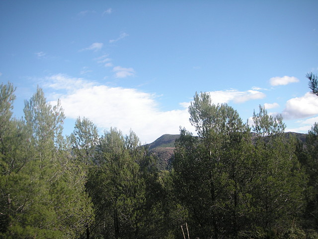 sendas olocau 015