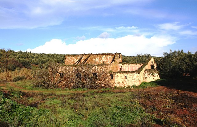 004, cortijo de bedmar