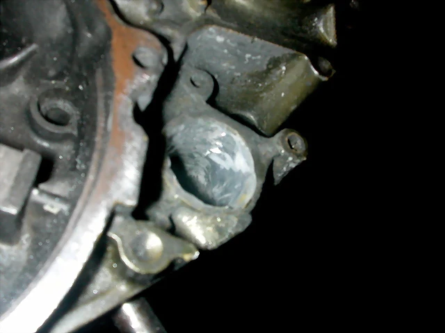 DSCN3641 DSCN3641