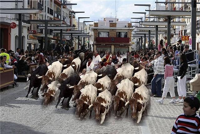 san fermin foro