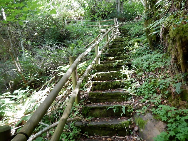 DSCN7669 DSCN7669