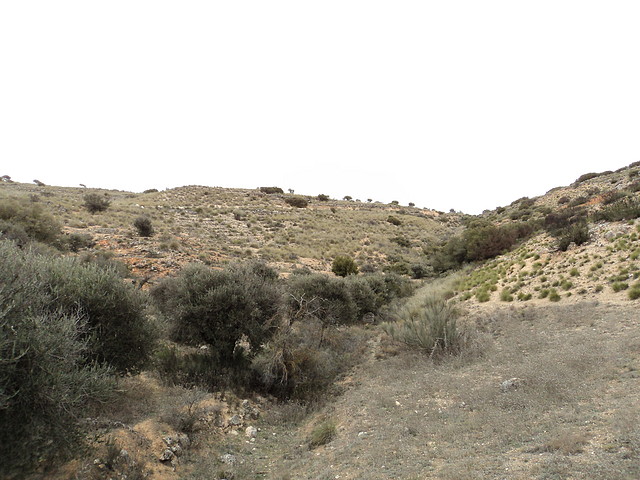 DSC00030 DSC00030