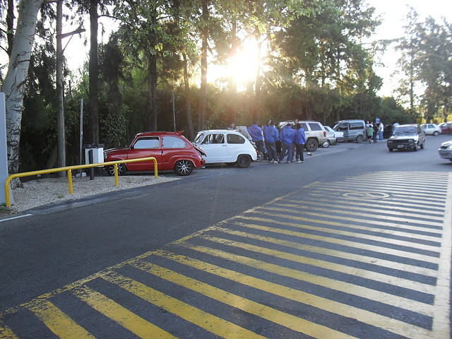 SDC14244 SDC14244