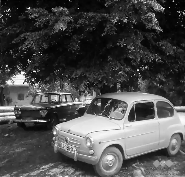 Male Lipljena -  Autos vor der Dorflinde,Slowenien 1964