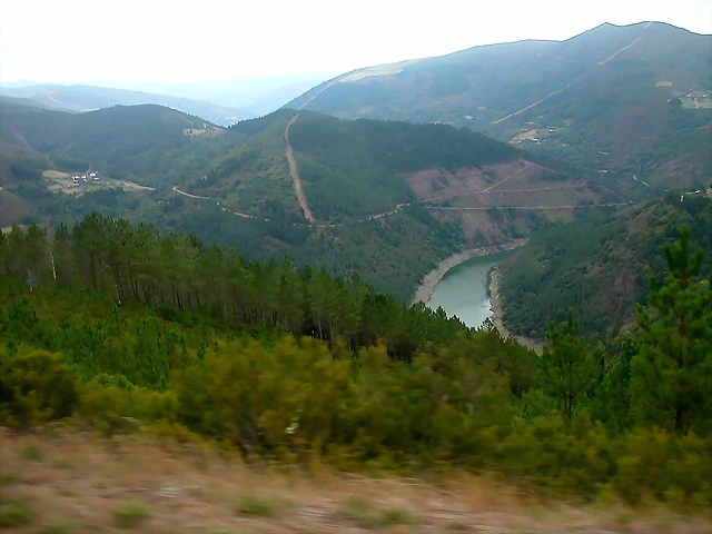 DSCN2375 DSCN2375