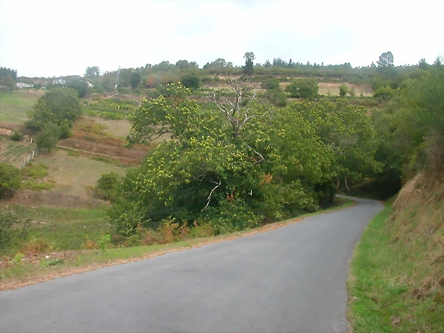 DSCN2326 DSCN2326