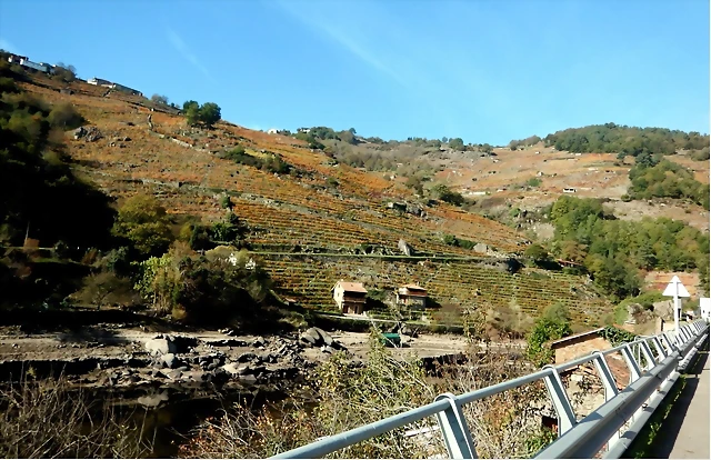 DSCN1573 DSCN1573