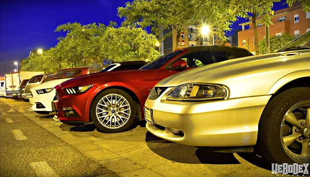 DSC_1024 DSC_1024