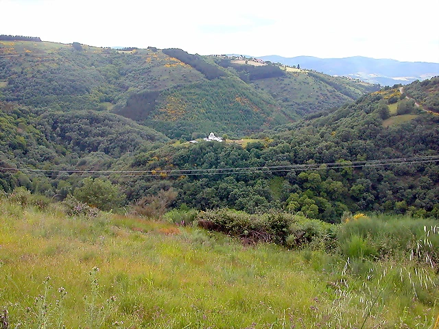 DSCN3737 DSCN3737
