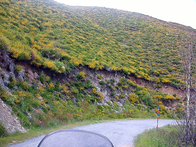 DSCN3796