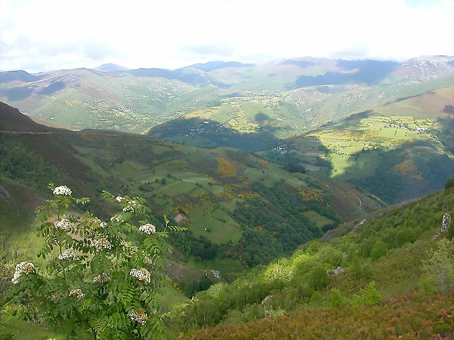 DSCN3786