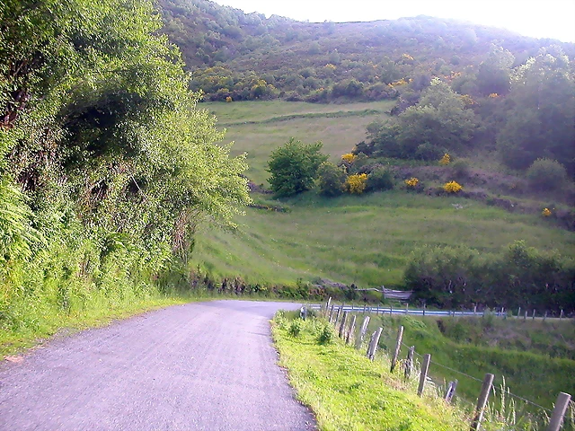 DSCN3851 DSCN3851