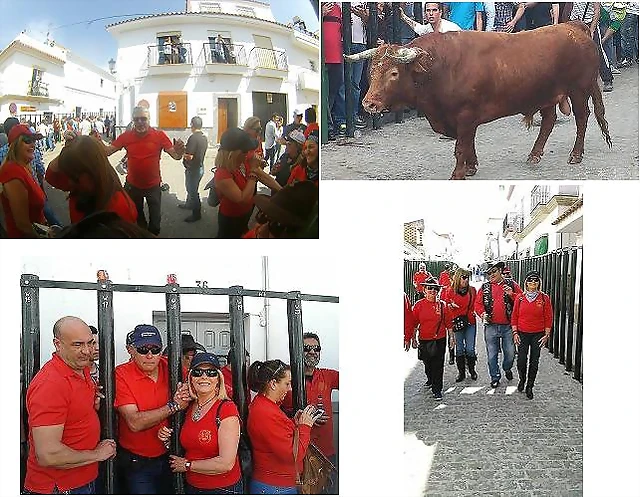 paterna1111 paterna1111