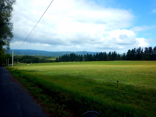 DSCN6682 DSCN6682