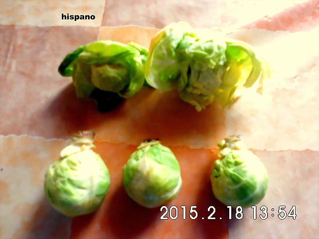 CIMG0793 CIMG0793