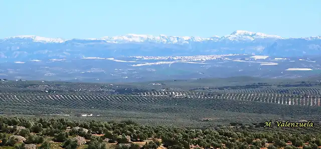 10, la sierra al fondo, marca