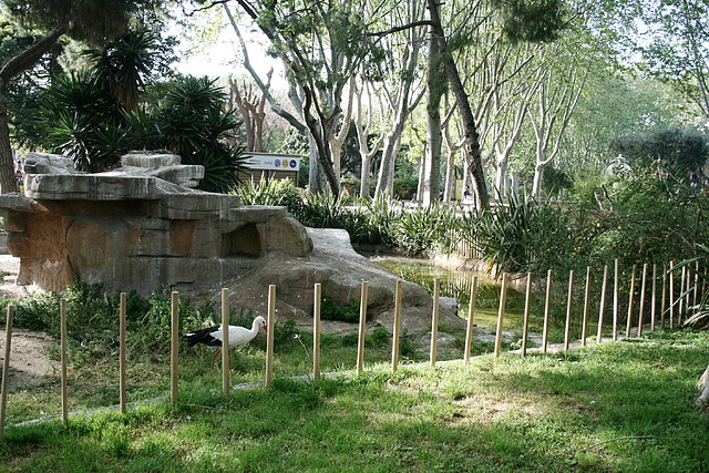 Zoo de Barcelona 12-04-11 278 Zoo de Barcelona 12-04-11 278
