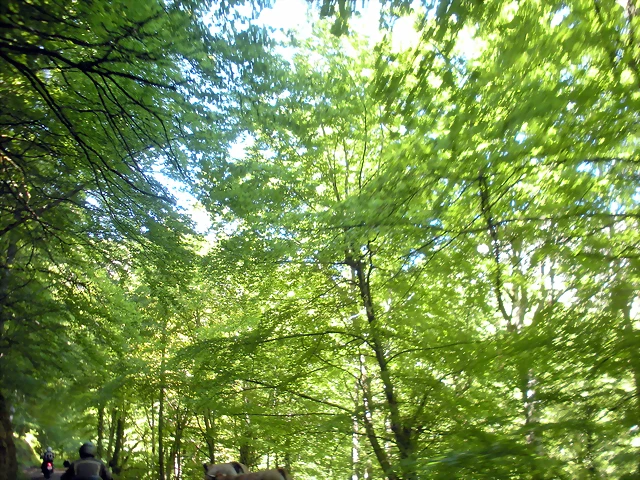 DSCN8492 DSCN8492