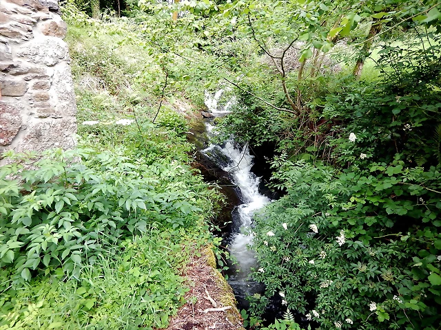 DSCN4538 DSCN4538