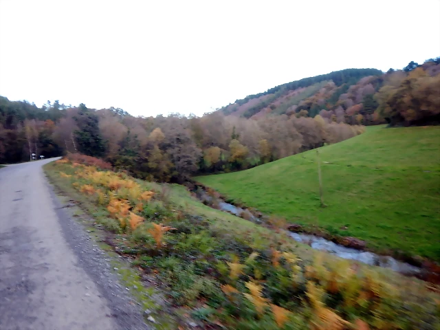 DSCN0596 DSCN0596