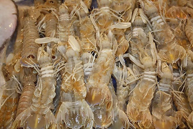 Galeras en el mercado Galeras en el mercado