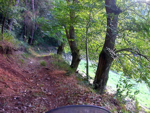 DSCN1821 DSCN1821