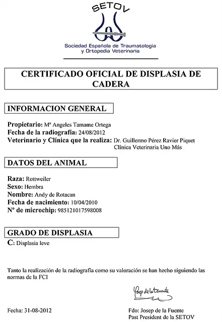 Certificado de displasia de cadera 20120831 Andy-1