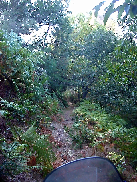 DSCN1823 DSCN1823