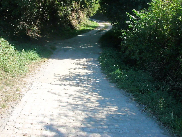 DSCN1693 DSCN1693