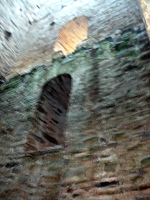 DSCN1833 DSCN1833