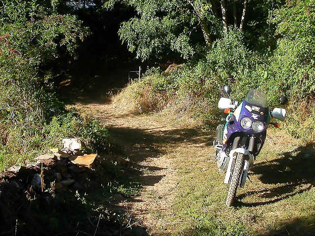 DSCN1784 DSCN1784
