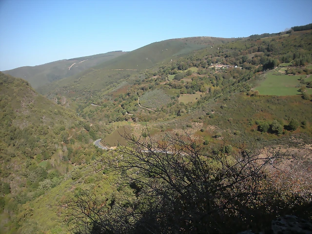 DSCN0017 DSCN0017