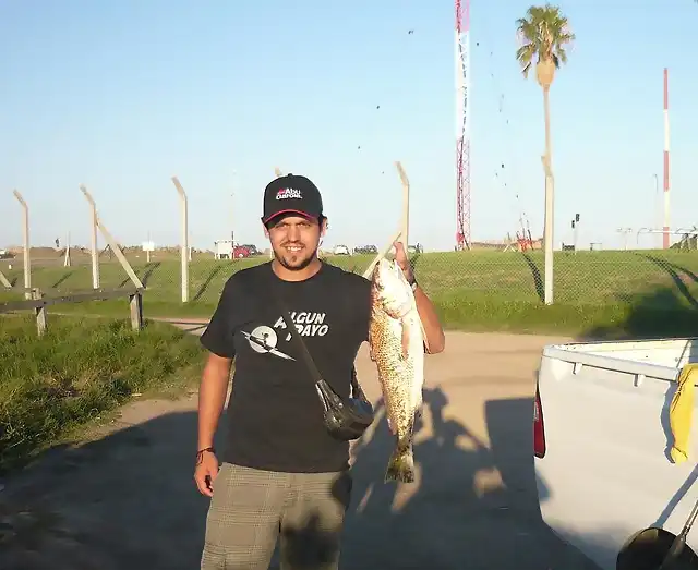 Pescado con ale