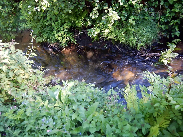 DSCN2420 DSCN2420
