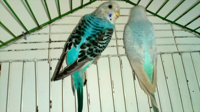IMG-20190302-WA0003 IMG-20190302-WA0003
