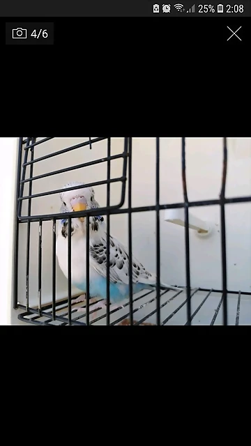 Screenshot_20190909-020854_Milanuncios Screenshot_20190909-020854_Milanuncios