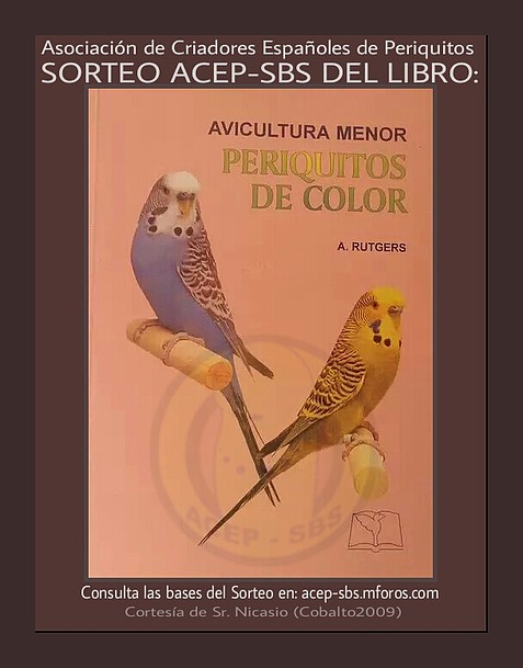 sorteo libro 4