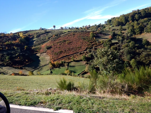 DSCN0082 DSCN0082