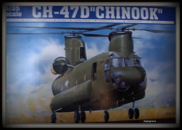 Chinook