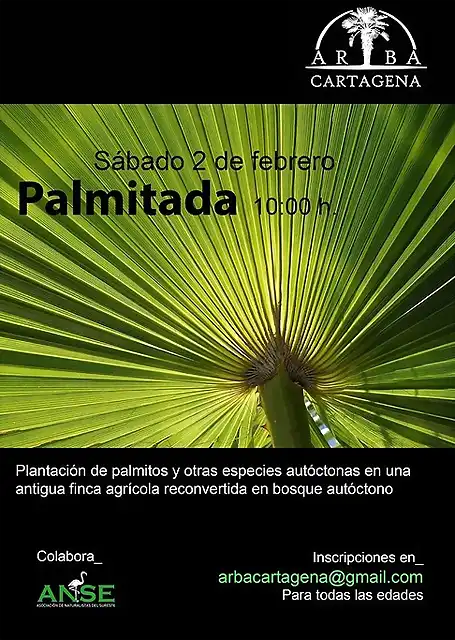 palmit? calblanque