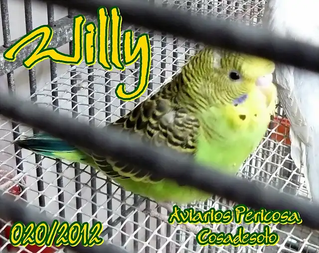 2012 020 WILLY