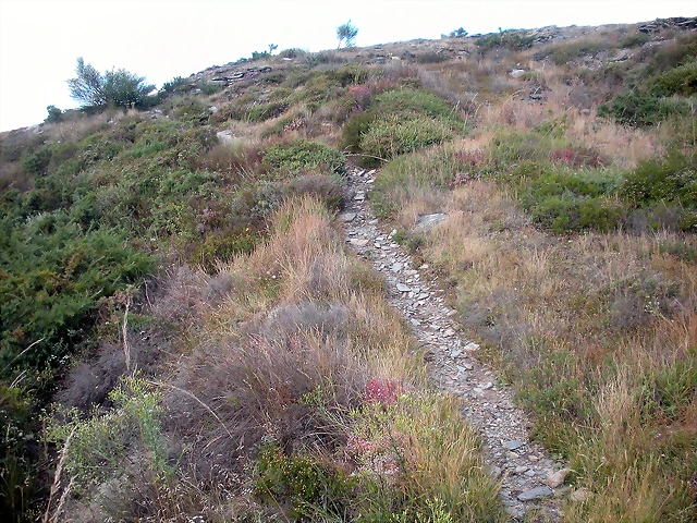DSCN4218 DSCN4218